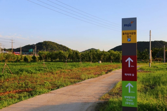 천천히 걸으며 구석구석 감상…작년 1600만명 '뚜벅이 여행' - 머니투데이 천천히 걸으며 구석구석 감상…작년 1600만명 '뚜벅이 여행' - 머니투데이