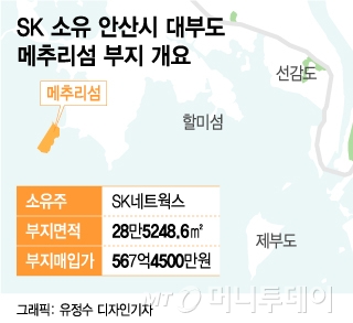 SK네트웍스가 소유한 안산시 대부도 메추리섬 부지 개요