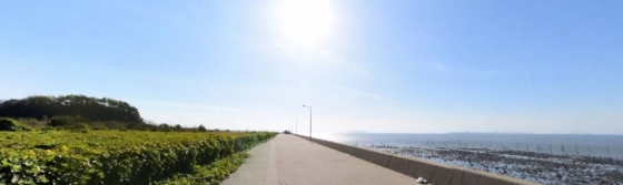 경기도 안산시 대부도 메추리섬 모습/사진= 네이버 지도 캡처