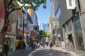 �ڷγ�19 100��