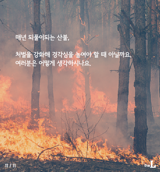 [카드뉴스] 또 '산불'에 큰 피해…너무 가벼운 처벌