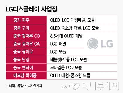 "독 든 성배"인 줄 몰랐던 中공장, 하이닉스·LGD 엇갈린 선택