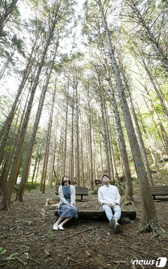 [사진] '편백나무 숲에서 느끼는 여유'