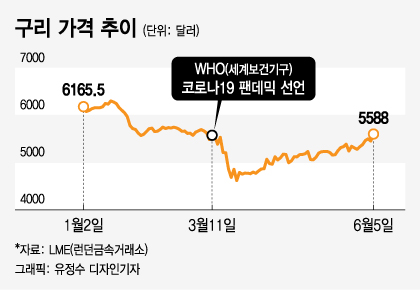 /그래픽=유정수 디자인기자