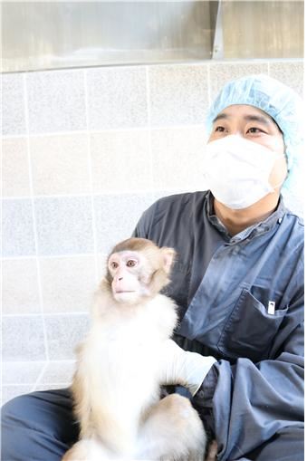 과학기술정보통신부가 코로나19 치료제‧백신 개발을 위한 영장류 감염모델 개발했다/자료사진=한국생명공학연구원