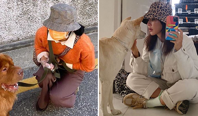 /사진=가수 설현, 엄정화 인스타그램