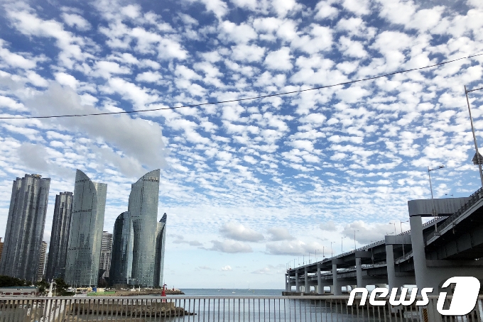 자료사진 © News1 DB