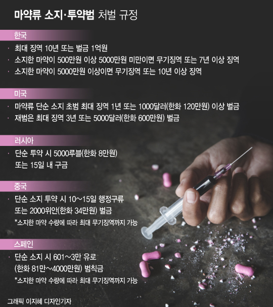 세계법제정보센터에 게시된 각국 마약사범 처벌기준. /그래픽=이지혜 디자인기자