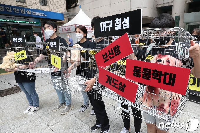 카라 등 동물보호단체, 대구 칠성 개시장 폐쇄 촉구 - 머니투데이