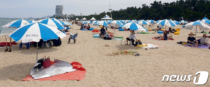 [사진] 2m 간격으로 설치된 경포해수욕장 파라솔