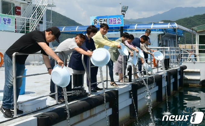 대물(大物) 천국 명성 되찾는다”…화천군 쏘가리 치어 3만마리 파로호 방류 - 머니투데이 대물(大物) 천국 명성 되찾는다”…화천군 쏘가리 치어 3만마리 파로호 방류 - 머니투데이