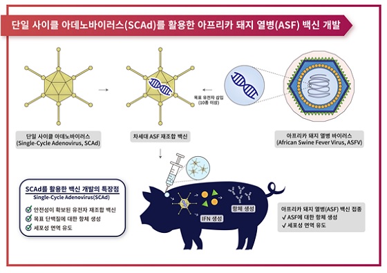 차세대 ASF재조합 백신 개념도/사진제공=메디안디노스틱