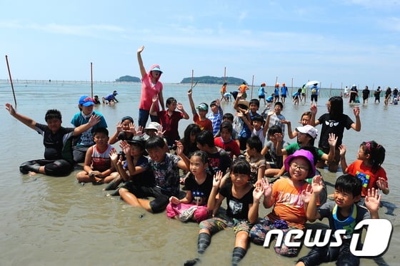 고창 갯벌체험 행사. /&copy; News1