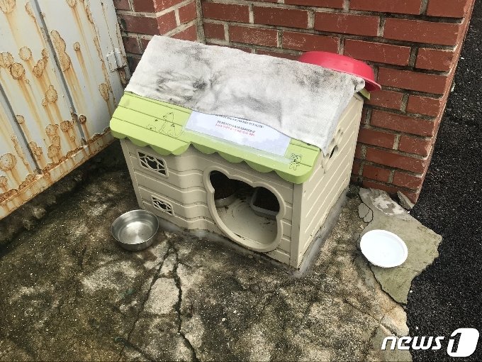 부산 남구 대연동의 한 주택가에 길고양이 급식소가 설치돼 있다.2020.07.31/뉴스1 &copy; News1 이유진 기자