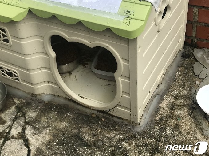 부산 남구 대연동의 한 주택가에 길고양이 급식소가 설치돼 있다.2020.07.31/뉴스1 &copy; News1 이유진 기자