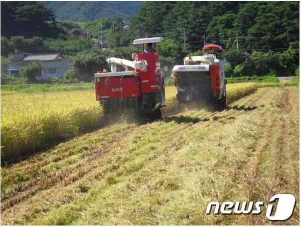 전북 진안군에서 벼를 수확하고 있다.&#40;진안군제공&#41;2020.8.1/뉴스1