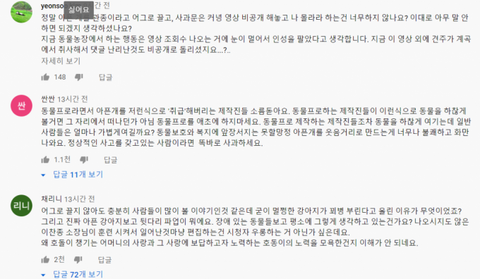 동물농장' 장애견에 '뒷다리 파업' 희화화…