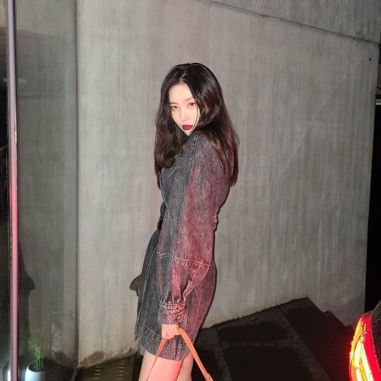 /사진=가수 선미 인스타그램