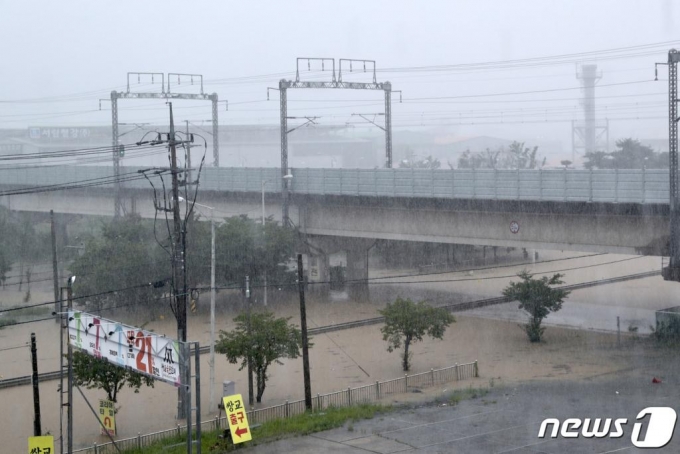 광주공항 활주로도 잠겼다…제주·김포 항공편 모두 결항 - 머니투데이