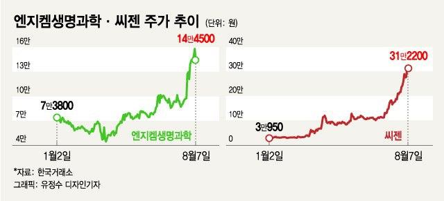 엔지켐생명, 제2의 씨젠되나…글로벌제약사 LO입질조짐