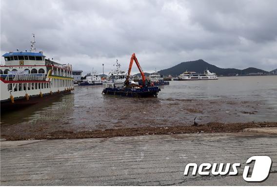 [사진] 목포 해안 부유 쓰레기