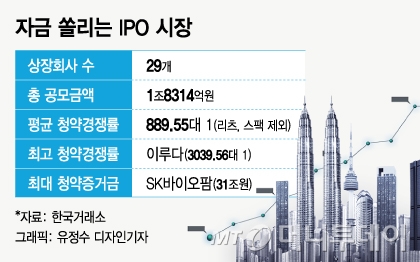 평균 경쟁률 '900대 1'…"받기만 하면 대박" 로또 된 공모주