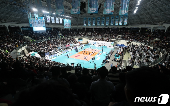 프로배구가 컵대회로 돌아온다. 뉴스1 © News1 이동해 기자