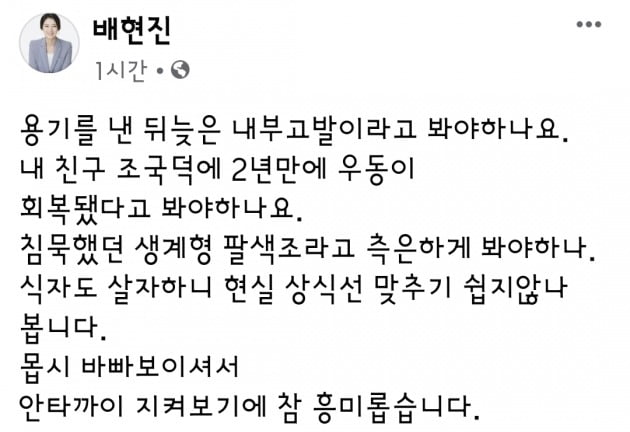 /사진=배현진 미래통합당 의원 패이스북 캡처