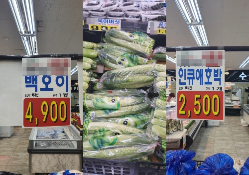"1000원 하던 애호박이 2500원"…장마·태풍에 금값된 채소