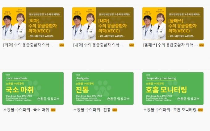 쓰리디메디비전의 B2C 모델인 베터플럭스의 콘텐츠