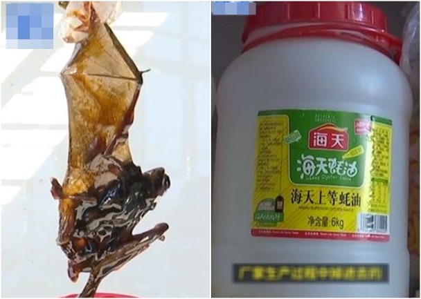 궈씨네 가족이 먹던 굴소스 통에서 나온 박쥐(왼쪽)와 굴소스 통. /사진=바이두