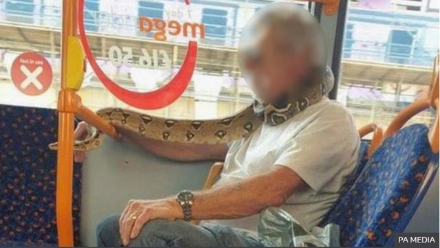 [서울=뉴시스] 영국의 한 남성이 지난 14일 마스크 대신 뱀으로 얼굴을 가리고 버스에 탑승한 모습. 2020.9.17