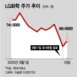 LG화학 분사에 뿔난 주주들…그들이 틀리지 않은 3가지 이유