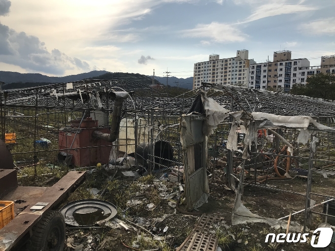 양정마을 입구 농로 주변의 복구되지 않은 비닐하우스.2020.9.20/뉴스1 © News1 지정운 기자