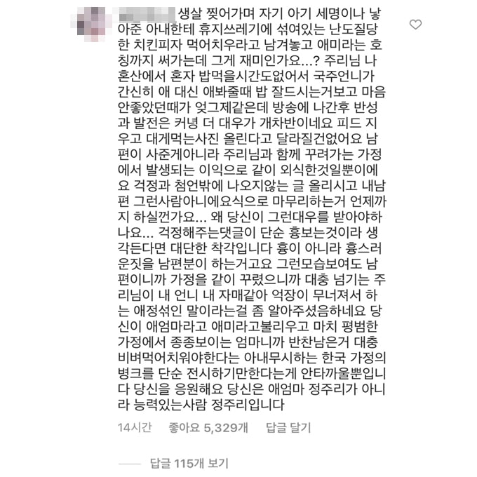 /사진=정주리 인스타그램 댓글 캡처