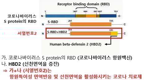 아이큐어가 개발 중인 코로나 치료제 'RBD-HBD2' 구성도/사진제공=아이큐어