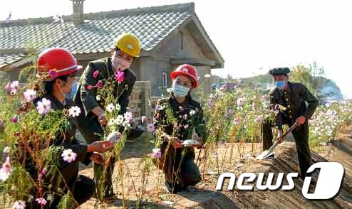 [사진] 수해 복구가 한창인 북한 수도당원들