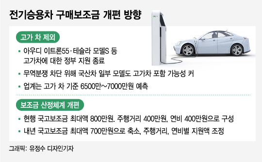독이 된 전기차 보조금…'사람들, 테슬라 사더라'