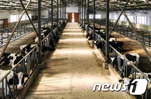 [사진] 북한, 강원도 세포지구 축산업 조명…고기·젖 4년만에 4.5배