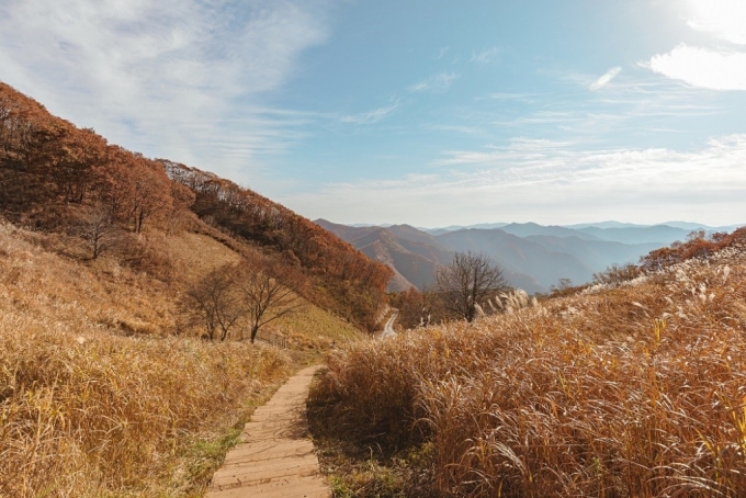 강원도 풍경. /사진=에어비앤비