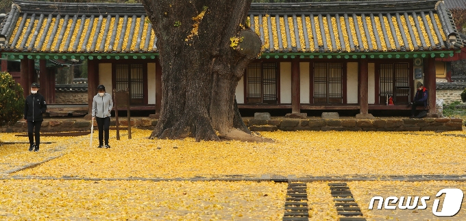 [사진] 낙엽 밟으며 만끽하는 가을 정취