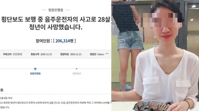 /사진=청와대 국민청원 게시판(왼쪽), 연합보