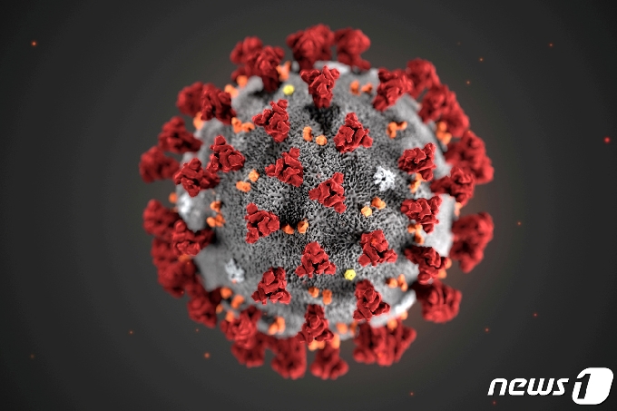 미국 CDC가 공개한 코로나19 모형도 © 로이터=뉴스1 © News1 이종덕 기자