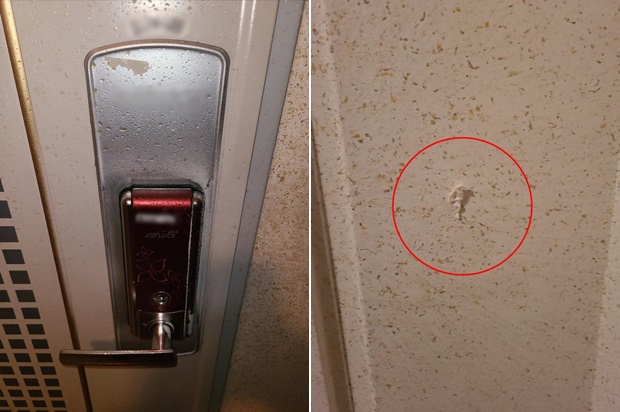 A씨는 자신의 집 앞에 대변 테러뿐만 아니라 까나리 액젓과 껌 테러까지 당했다며 사진을 공개했다./사진=온라인 커뮤니티 '보배드림'