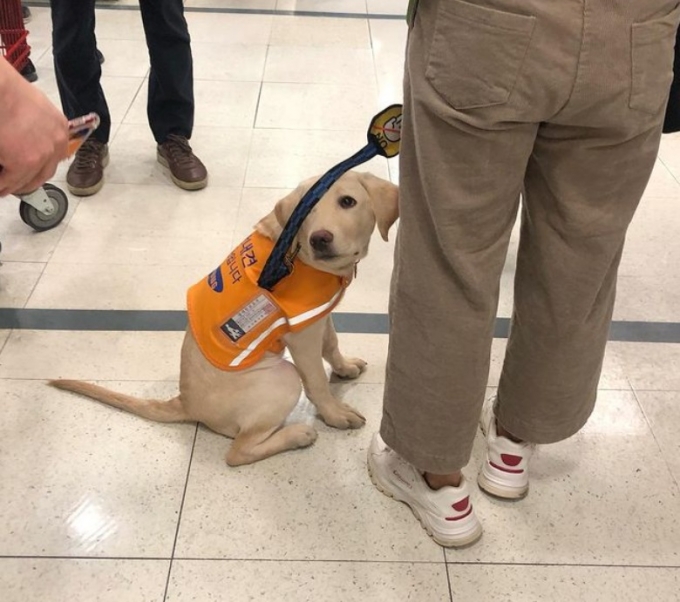 /사진 = 인스타그램