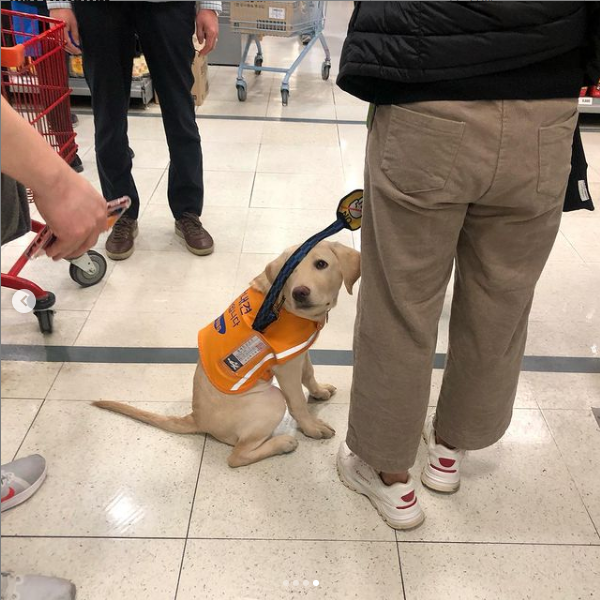 /사진=인스타그램 캡처