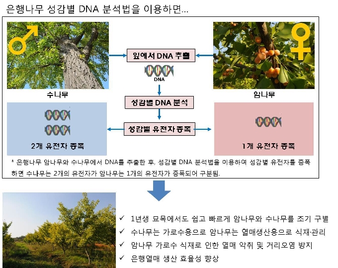© 뉴스1