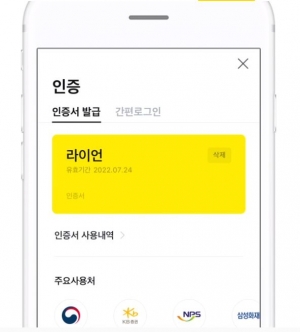 카카오페이인증/사진=카카오