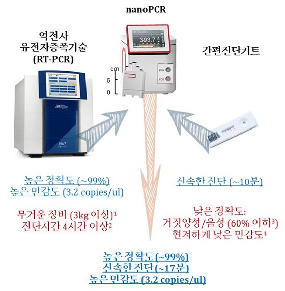  ڷγ19 ܹ  غ  PCR/=IBS