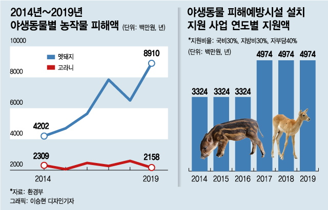 '라쿤카페' 사라지고 동물원 '허가제'로 바뀐다